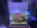 YEE水草飛碟燈爆藻草缸燈led全光譜支架吊燈筒燈防魚(yú)缸燈植物生長(cháng)燈 【智能飛碟燈100w-環(huán)形透鏡-9種顏色】 曬單實(shí)拍圖