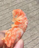 火龍蝦俄羅斯萊伯蝦即食北極甜蝦腹籽頭籽蝦爬子熟凍海鮮 1000g(凈重) 7-10cm 【70-90只】 曬單實(shí)拍圖