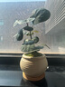 喜鵲說小盼菩提樹盆栽植物室內(nèi)觀果綠植客廳盆景辦公室凈化空氣桌面好養(yǎng) 小盼菩提-素砂盆-竹底托 帶盆栽好 曬單實拍圖