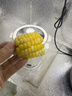 OQD德國高端2025新款多功能煮蛋器早餐機煮鍋蒸鍋火鍋蒸蛋器煮蛋器溫泉蛋加高蒸籠迷你 單層 標配蛋架 曬單實拍圖