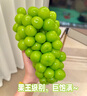 京覓 晴王陽光葡萄 4.5斤 單果15g起 玫瑰香印青提 當(dāng)季水果源頭直發(fā) 曬單實(shí)拍圖
