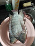 川澤羅非袖子線雙鉤碳線長柄成品魚鉤子線掛仕綁好防纏繞飛磕袖鉤套裝 7號鉤+碳線1.5+長65cm 【羅非無刺袖鉤20付】 曬單實拍圖