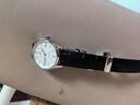 海鷗（SEAGULL）手表男自動(dòng)機械表 商務(wù)日歷男士手表生日禮物男表國表819.12.1049 曬單實(shí)拍圖