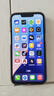 Apple 蘋果 iPhone 16/15/14/13/12/11/X系列二手手機 規(guī)格見質檢報告 蘋果 iPhone 13 Pro 曬單實拍圖