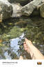 化氏一鴻 魚竿 高碳逆絲漁具 釣魚竿  手竿臺釣竿輕硬鯉魚竿套裝魚桿 5.4m +4.5米+免費配節(jié) 曬單實拍圖