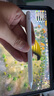 Apple/蘋果 Pencil(USB-C)磁吸觸控筆手寫筆蘋果筆電容筆適用于新iPad mini/Pro (M4)/Air (M2)/iPad11 曬單實拍圖