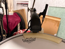 森海塞爾（SENNHEISER）MD421 人聲有線桌面麥克風樂器直播錄音K歌動圈會議話筒 MD421+雙卡農(nóng)線(5米) 曬單實拍圖