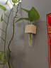 冰箱貼裝飾貼創(chuàng)意實木磁吸試管插花器磁力貼冰箱創(chuàng)意貼貼冰箱 插花瓶冰箱貼（櫸木色）1個 曬單實拍圖