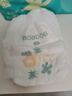 巴布豆（BOBDOG）新菠蘿拉拉褲XL碼36片（12kg-17kg）嬰兒尿不濕 超薄透氣 曬單實拍圖