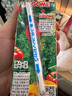 可果美（KAGOME）日本進口 復合蔬菜汁果蔬汁兒童飲料液體沙拉代餐200ml*12盒整箱 曬單實拍圖