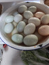 松爽潤生咸鴨蛋新鮮鴨蛋腌制蛋類(lèi)湖北特產(chǎn)中秋節餡料糕點(diǎn)心咸蛋黃烘培 凈重30枚70-80克/個(gè)生咸鴨蛋 曬單實(shí)拍圖