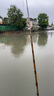達億瓦（DAIWA）月光柔 并繼式鯽魚(yú)竿 臺釣竿鯽竿 手竿碳素釣魚(yú)竿垂釣鯽魚(yú)桿手桿 3.6m 12尺 曬單實(shí)拍圖