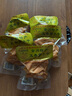玉蝶牌五香蘿卜干常州特產(chǎn)江蘇老字號(hào)非遺紅皮蘿卜搭粥菜咸菜下飯菜散裝 五香味【不辣】 100g*5袋（實(shí)惠1斤裝） 曬單實(shí)拍圖