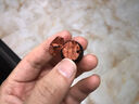 曇蓮滿(mǎn)金星小葉紫檀手串老料檀香木文藝風(fēng)男女款佛珠念珠情侶飾品手鏈 20mm*12顆【葫蘆款】 曬單實(shí)拍圖