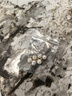 杜緹18k金手鏈珍珠滿天星手鏈au750淡水珍珠手鏈百搭手飾 珍珠滿天星手鏈 au750 曬單實拍圖