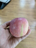 正宗煙臺蘋果棲霞紅富士蘋果水果脆甜新鮮水果整箱生鮮山東特產 凈重4.5斤75mm 曬單實拍圖