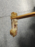 Member's Mark 大西洋真鱈魚頸背肉 1kg 1kg 曬單實(shí)拍圖