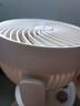 博森輕音電風扇臺式桌面空氣循環(huán)扇家用柔風宿舍辦公迷你廚房壁掛搖頭定時臺扇交流定頻壁扇XHS-1511 曬單實拍圖