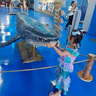 G.DUCKKIDS公主裙六一兒童表演服裝女童美人魚公主連衣裙女孩生日公主魚尾裙 美人魚公主裙 120 建議身高110-115cm年齡6-7 曬單實拍圖