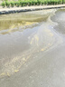 魚塘除油膜池塘改底解毒改善水質(zhì)凈化劑清除鐵銹去堿藻消毒殺菌藥 【魚塘去油膜】 300ml 1瓶 曬單實(shí)拍圖