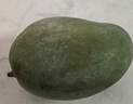 京鮮生 攀枝花凱特芒 凈重8.5斤 帶箱9斤 單果600g+ 生鮮水果 源頭直發(fā) 曬單實(shí)拍圖
