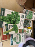 北蔬 茼蒿菜種子種苗小葉皇帝菜光桿蓬蒿菜蔬菜種籽 光桿茼蒿種子10g 曬單實(shí)拍圖