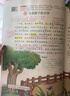 2025斗半匠課堂筆記三年級上冊語文人教版黃岡學(xué)霸筆記教材全解小學(xué)三年級同步教材課前預(yù)習(xí)課后復(fù)習(xí)輔導(dǎo)書 曬單實拍圖