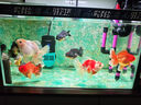 尼奧光魚缸燈水草燈LED燈S3proRGB植物光譜 13W新款尼奧S3pro+【高亮自然版雙倍亮度】 曬單實拍圖