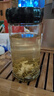 希諾單層玻璃杯男女士辦公室水杯便攜泡茶杯子6005/6006/6007/6008 465ML經(jīng)典款6007 曬單實(shí)拍圖