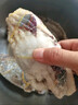 梭子蟹鮮活特大野生舟山大螃蟹海鮮新鮮冷凍海蟹水產(chǎn)飛蟹白蟹 【嘗鮮款】3-5兩/只 凈重3斤 曬單實(shí)拍圖