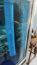 徹朗魚(yú)缸氧氣泵超靜音家用小型氧氣泵養魚(yú)水族箱打氧機魚(yú)缸增氧泵 8W+2個(gè)10cm納米霧化氣盤(pán)套餐 曬單實(shí)拍圖