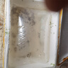 黃骨魚苗活體淡水養(yǎng)殖食用鮮活魚黃丫頭黃鴨叫昂刺魚黃顙魚冷水觀賞魚黃辣丁魚苗批發(fā) 100條5-7厘米黃骨魚苗(多發(fā)10%防損) 曬單實拍圖