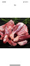 邊塞風鹽池灘羊手抓羊肉 凈重2斤 寧夏灘羊肉生鮮 手把肉 曬單實拍圖