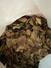 北京同仁堂四川特產野生老鷹茶葉涼茶重慶火鍋串串專用鍋底茶老蔭陰茶紅白茶 老鷹茶1000克[2斤] 曬單實拍圖