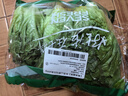 【高原夏菜】鐘靈山羅馬生菜400g 曬單實(shí)拍圖
