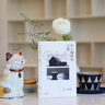 【無(wú)界文庫(kù)本系列3件贈(zèng)帆布袋】傷心咖啡館之歌 卡森麥卡勒斯 著 中信出版社圖書(shū) 曬單實(shí)拍圖