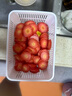 蘇泊爾（SUPOR）切菜器多功能擦絲器可立土豆絲刨絲器家用切菜切丁神器商用切菜機 四種刀片合一 帶果蔬盒 不傷手 曬單實(shí)拍圖