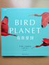 中國國家地理鳥(niǎo)類(lèi)星球 鳥(niǎo)類(lèi)科普攝影作品畫(huà)冊 蒂姆·拉曼著(zhù) 曬單實(shí)拍圖