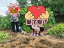 安踏兒童寶寶學(xué)步鞋嬰童跑步輕便學(xué)步鞋運(yùn)動(dòng)跑鞋A22510030 曬單實(shí)拍圖