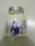 蘭格格 草原烏日莫奶皮子酸奶(560g+60g)*1桶生鮮低溫酸牛奶 老酸奶大桶 曬單實拍圖