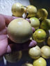 果益壽廣西欽蜜9號黃金百香果 新鮮水果白香果醬原漿整箱 超值30枚裝【單果30g以下】 曬單實拍圖