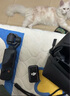 大疆Osmo Pocket3 靈眸口袋云臺(tái)相機(jī) DJI手持?jǐn)?shù)碼相機(jī) 旅游vlog美顏攝像 高清增穩(wěn) 標(biāo)準(zhǔn)版 無內(nèi)存卡 曬單實(shí)拍圖
