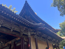 千仞崗冬季女士中長款羽絨服女百搭休閑時尚冬裝保暖防寒服毛領連帽外套 魔力黑 M (165) 曬單實拍圖