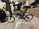 大行（DAHON） 折疊車雙培林腳踏折疊車改裝通用腳踏騎行配件（1副） 曬單實拍圖