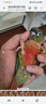 HARRISON'S BIRD FOODS高能特小顆粒滋養(yǎng)丸哈里森鳥糧（1磅/454克）有效期至26年9月 曬單實拍圖