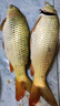 魚誘專釣鰱鳙大鰱鳙通殺野釣胖頭魚黑坑湖泊水庫河流專釣鰱鳙腥香餌料 買三給五【釣王都在用】 曬單實(shí)拍圖