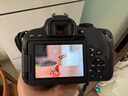Canon/佳能600d 550d 700d 750d 760d 800d 入門(mén)級半畫(huà)幅二手數碼相機 99新佳能800D+18-135 IS鏡頭 套餐二攝影中端配置 曬單實(shí)拍圖