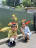 MOKITOULSS韓國童裝潮牌兔子圓領(lǐng)兒童短袖T恤2025夏季洋氣男女童上衣半袖 黃色（高端禮盒包裝） 130 cm3 曬單實拍圖