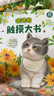 寶寶的第一本觸摸書+會(huì)動(dòng)的觸摸大書2冊(cè) 0-2歲寶寶觸覺(jué)啟蒙認(rèn)知嬰兒書早教益智玩具0到2-3歲繪本1歲半立體書地板書生日節(jié)日禮物女孩男孩暑假作業(yè) 一升二暑假銜接 小升初暑假銜接 曬單實(shí)拍圖