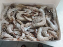GUO LIAN國聯(lián)沙特蝦鹽凍白對蝦無冰凈重4斤 100-120只 源頭直發(fā) 原裝進(jìn)口 曬單實(shí)拍圖